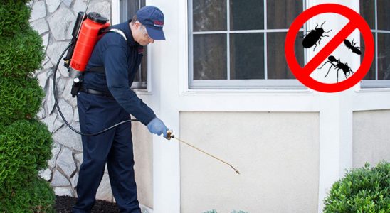 Ordu Fare İlaçlama böcek ilaçlama ve haşere kontrolü — ilaclama-tr.com